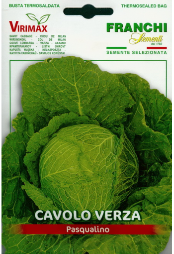 Savoy Cabbage "Pasqualino"