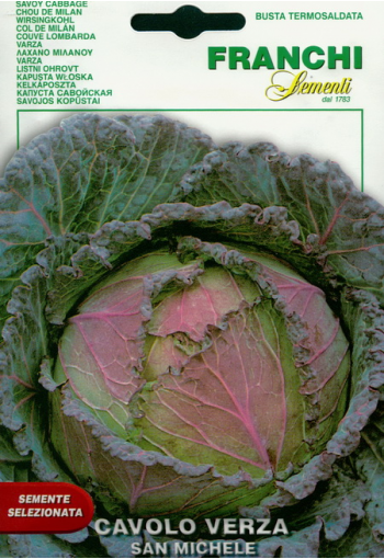 Savoy cabbage "San Michele"