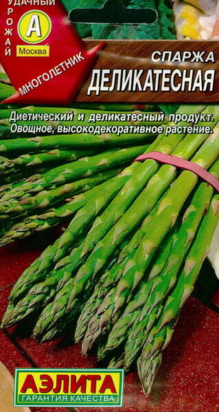 Asparagus "Delicacy"