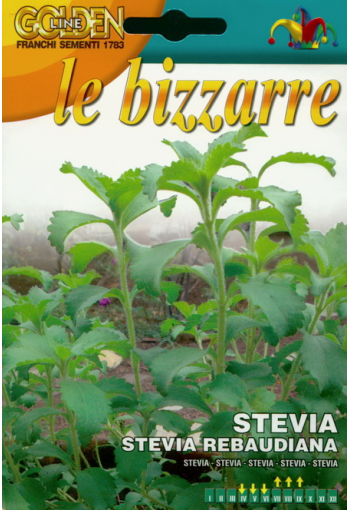 Sockerplanta (Stevia)