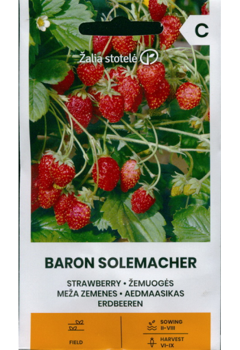 Wild strawberry "Baron Solemacher" (remontant strawberry)