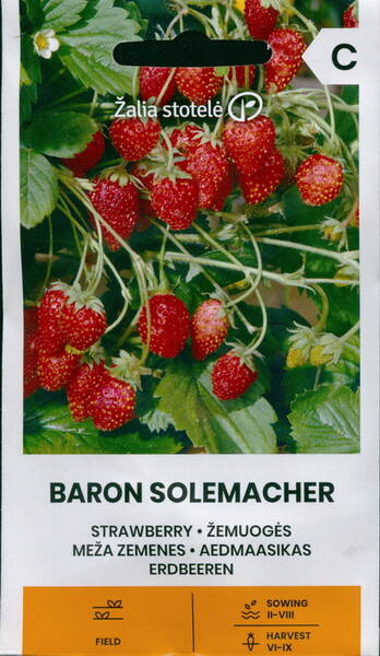 Wild strawberry "Baron Solemacher" (remontant strawberry)