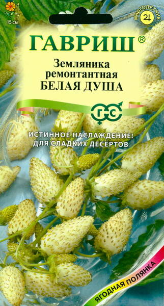 Wild strawberry "Belaja Dusha"