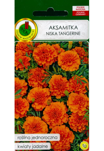 French Marigold Double "Tangerine"