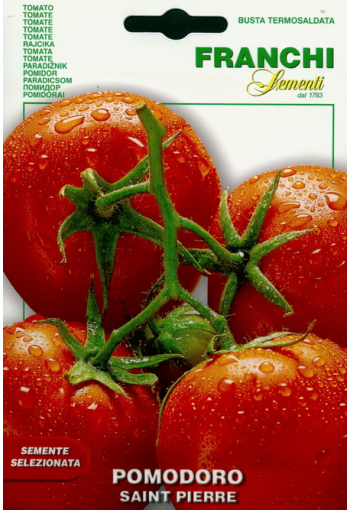 Tomato "Saint Pierre"
