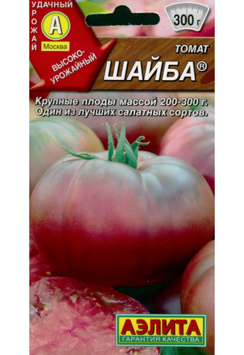 Tomaatti "Shaiba"