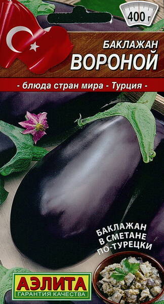 Aubergine "Voronoy"