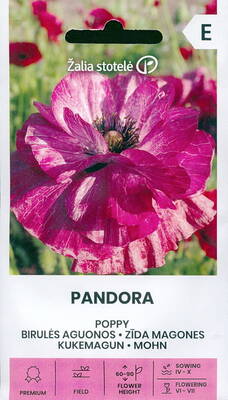 Corn poppy "Pandora" (Flanders poppy, coquelicot)