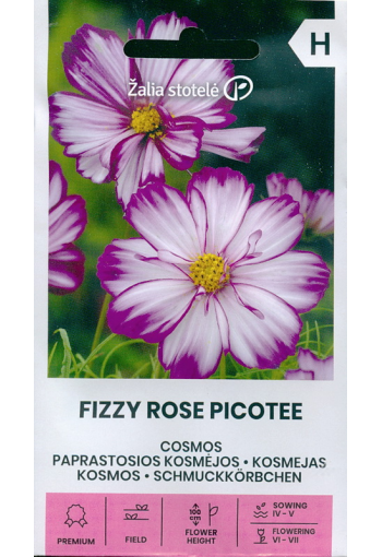 Космея "Fizzy Rose Picotee" (космос садовый)