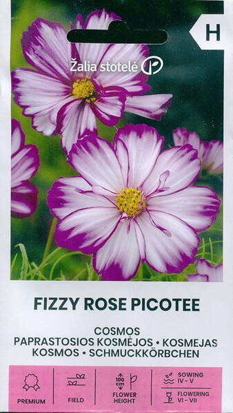 Kosmos "Fizzy Rose Picotee"