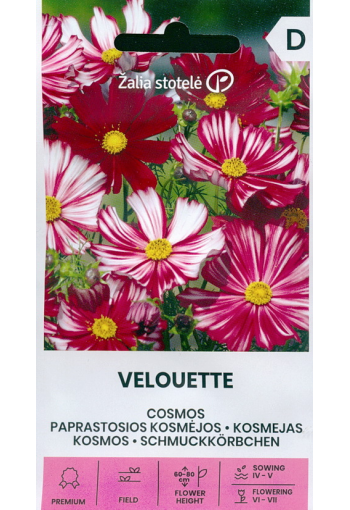 Punakosmos "Velouette" mix Cosmos bipinnatus