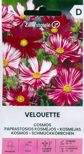 Punakosmos "Velouette" mix Cosmos bipinnatus