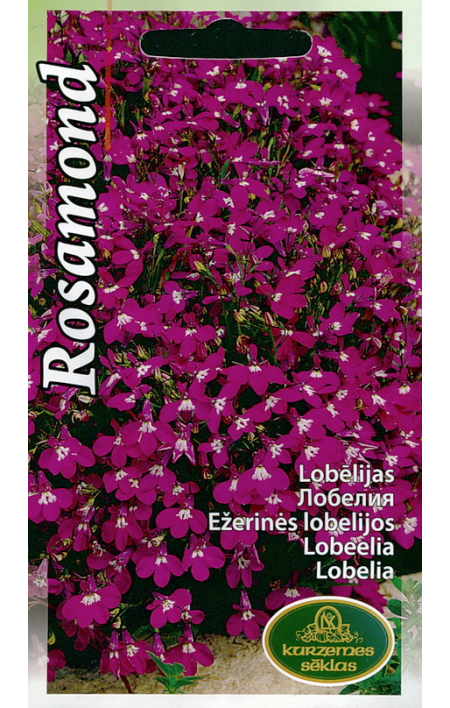 Bedding lobelia Rosamond: seeds: buy