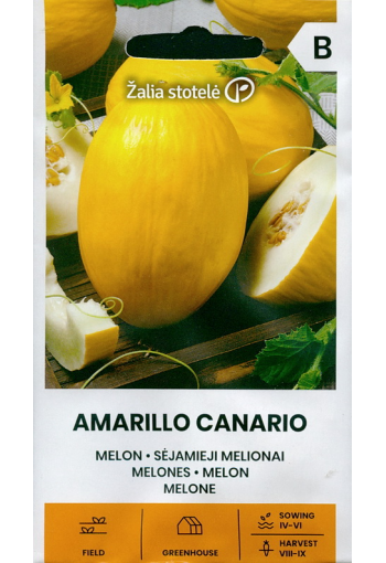 Melon "Amarillo Canario"