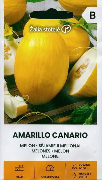 Melon "Amarillo Canario"