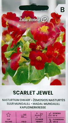 Krasse "Scarlet Jewel"