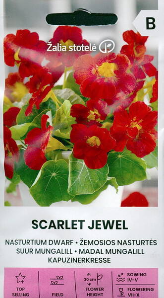 Mungalill madal "Scarlet Jewel"