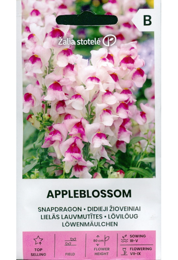 Snapdragon "Appleblossom"