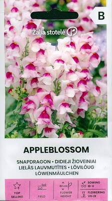 Lejongap "Appleblossom"