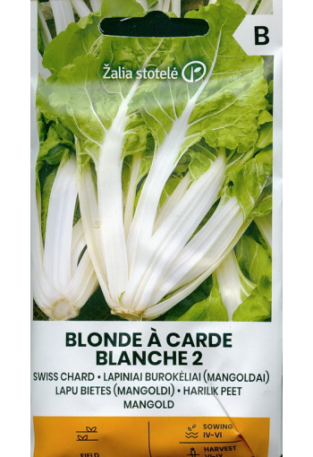 Swisschard "Blonde a carde Blanche 2" (spinach beet)