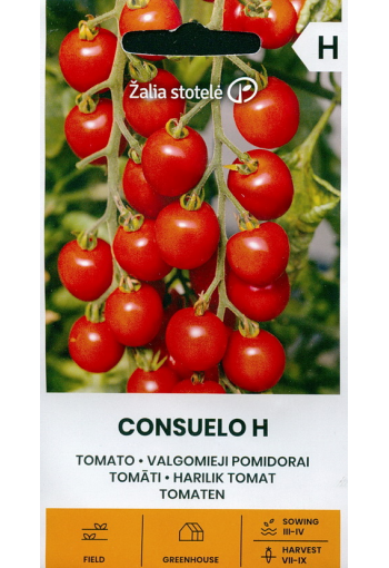 Tomaatti "Consuelo" F1