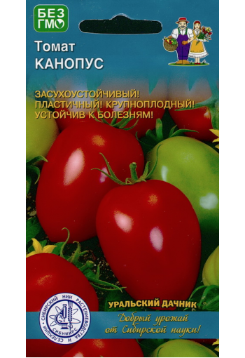 Tomaatti "Kanopus"