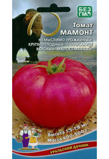 Tomat "Mamont"