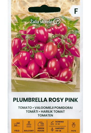 Tomato "Plumbrella Rosy Pink"
