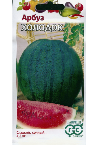 Vattenmelon "Holodok"