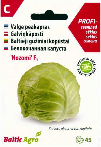 White cabbage "Nozomi" F1