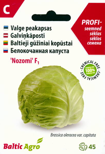 White cabbage "Nozomi" F1