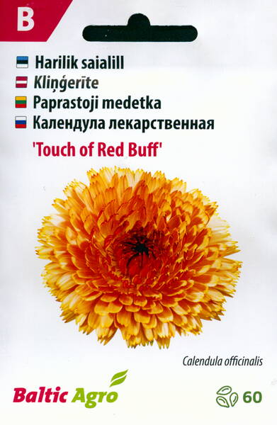 Календула "Touch of Red Buff"