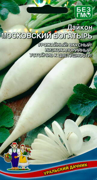 Oriental radish "Moskovsky Bogatyr" (daykon)