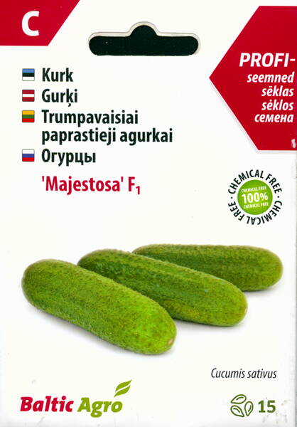 Kurkku "Majestosa" F1