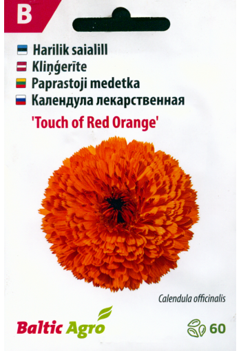 Calendula "Touch of Red Orange" (marygold)