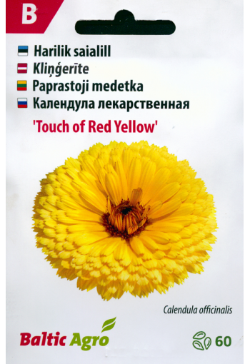 Calendula "Touch of Red Yellow" (marygold)