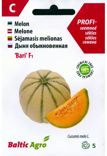 Meloni "Bari" F1