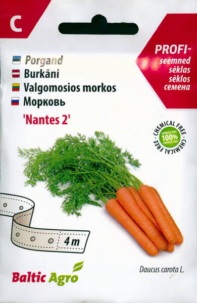 Carrot "Nantes 2" (on the tape)