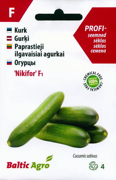 Cucumber "Nikifor" F1