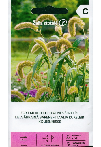 Foxtail millet (Bristlegrass)