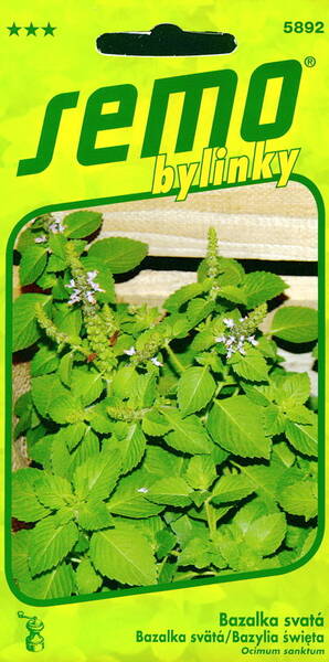 Holy basil (Tulsi )