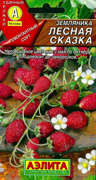 Alpine strawberry "Lesnaja Skazka"