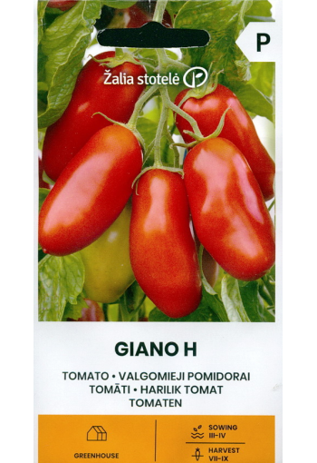 Tomaatti "Giano" F1