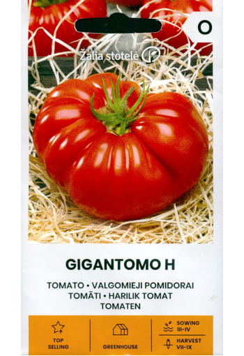 Tomat "Gigantomo" F1