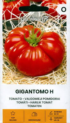 Tomat "Gigantomo" F1