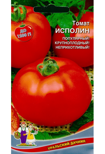 Tomaatti "Ispolin"