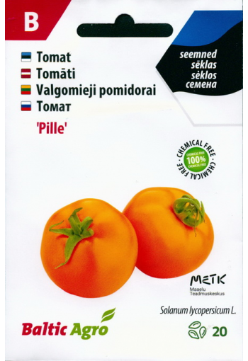 Tomato "Pille"