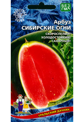 Vattenmelon "Sibirskye Ogny"