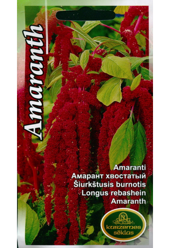 Velvet flower "Crimson cascade" (Love-lies-bleeding, foxtail amaranth)