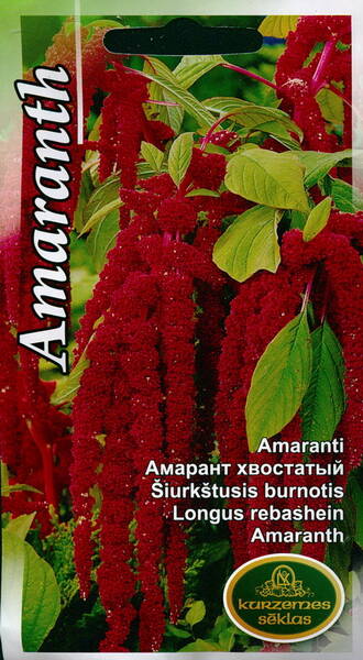 Velvet flower "Crimson cascade" (Love-lies-bleeding, foxtail amaranth)